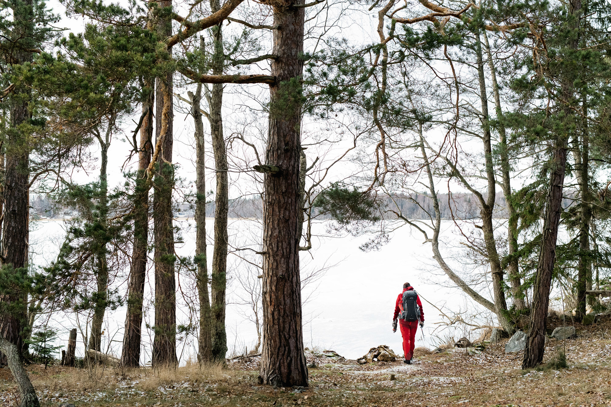 Jody-Daunton-Another-Escape-Nordic-Skating-CI1A2504